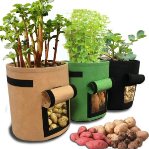 Root Veg Grow Bags for planting potatoes, flowers, cucumber, onions, loofah, carrots, courgette, tomatoes windows Window vegetables vegetable vegans vegan veg Tomato Potato plants planting planters planter plant pots plant pot large Growth growing grow gardens gardening gardeners gardener garden bag