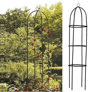 Garden Obelisk Metal Climbing Trellis This weatherproof rose column roses or ivy uk Trellis supports support Roses plants planting planters planter Plantar plant pots plant pot plant outdoors outdoor Obelisk Metal gardens gardening gardeners gardener garden frames Frame climbing climb archways archway arches arch support Arch
