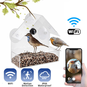 Bird Feeder with Optional Camera